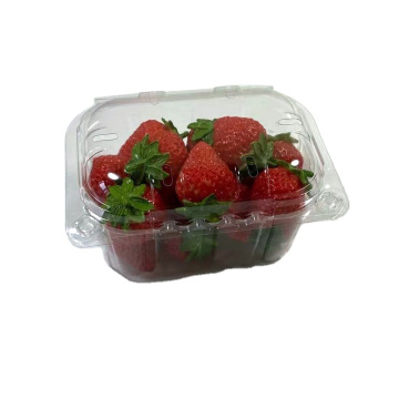 plastic disposable fruit punnet clamshell for 250g cherry tomato packaging